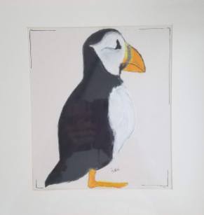 Puffin oil pastel and ink 13 x 13″ matted $40